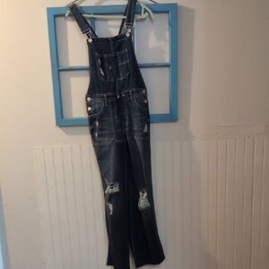 Wide Leg Denim Overalls